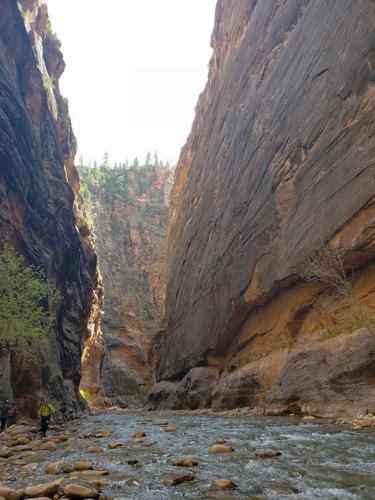 Utah National Parks Are Your Next Dream Destination