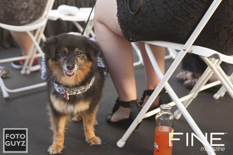 Photos by Will Grayson of Foto Guyz