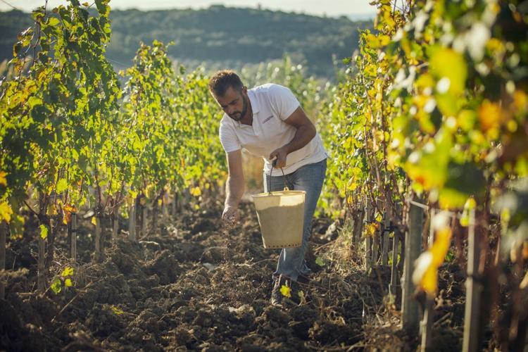 A Toast to the Tuscan Coast with Caiarossa’s Spectacular 2021 Vintage