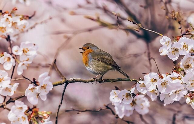 Is a Move to the Countryside Really Less Stressful?