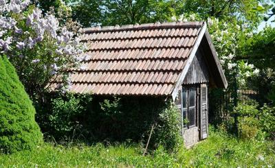 Useful Tools to Keep Around in Your Shed
