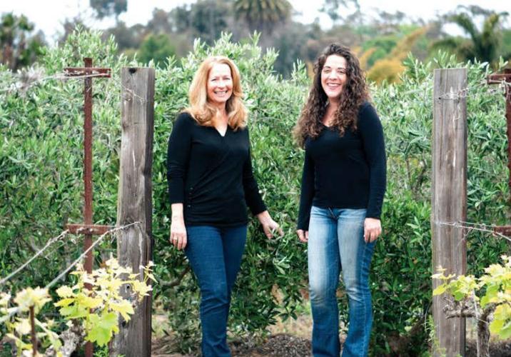 Interview with Olive Oil Expert Laura Bashar