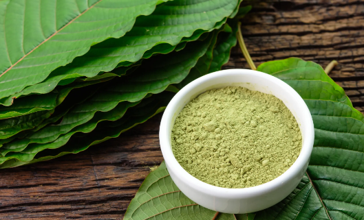 Exploring The Unique Qualities Of Premium Green Horn Kratom