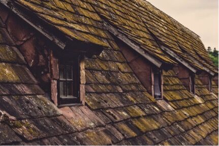 How to Find the Best Service Company For Roof Repairs