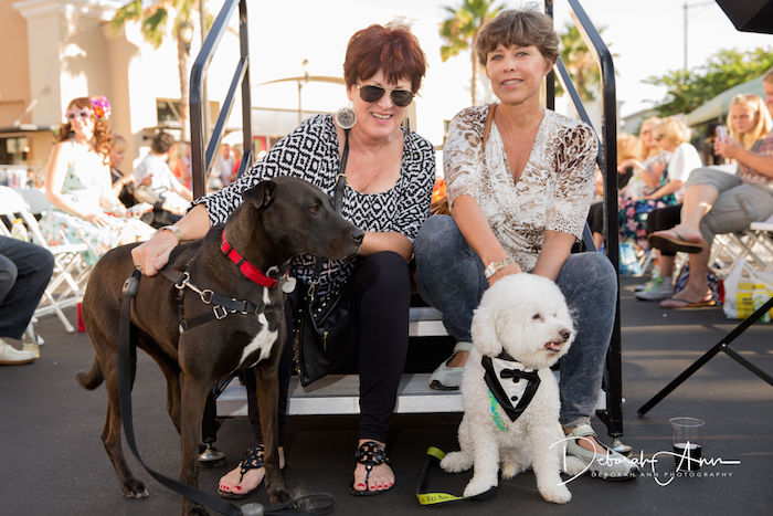 Hot Diggity Dog 2016 Recap