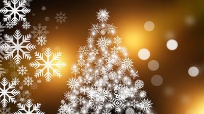 Holiday Traditions