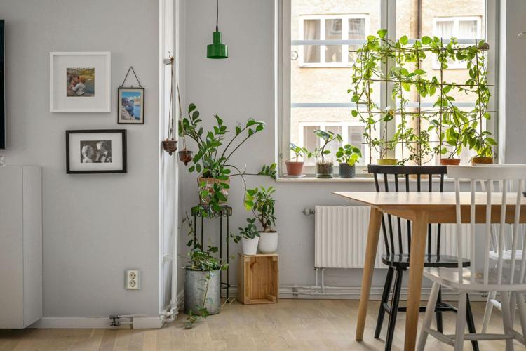 Buying a Home Is Emotional. Here’s How to Make a Clearer Decision Before You Commit