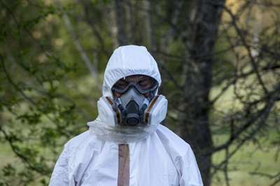 What You Should Know About the Process of Asbestos Removal in 2024