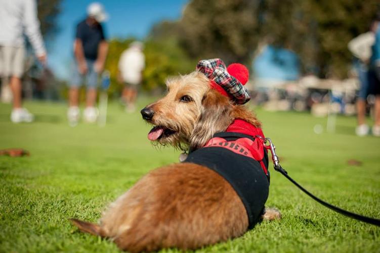 The Latest San Diego Charity Events