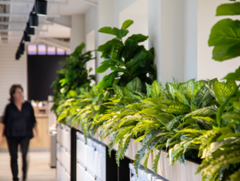 Reasons Behind the Increasing Popularity of Artificial Commercial Plants & Trees