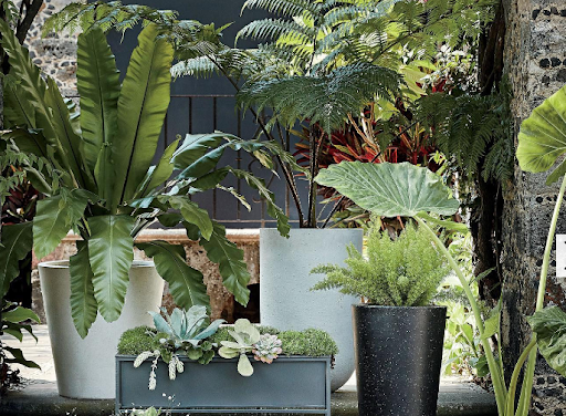 How to Style a Tropical Backyard With Accent Decor and Small Design Details