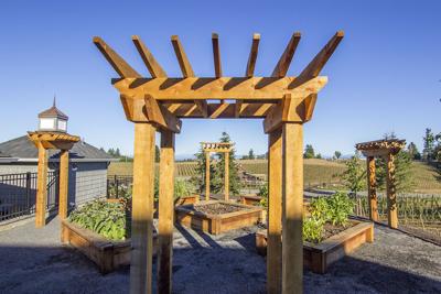 Add Sustainable Beauty to Your Landscape with Redwood