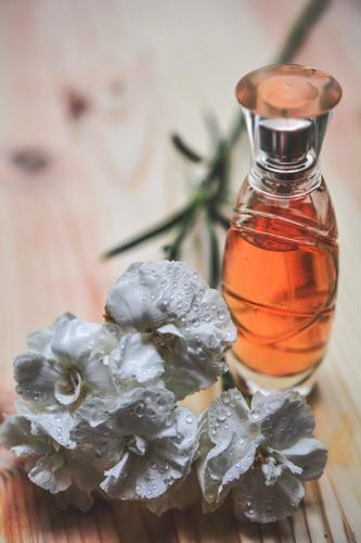 Homemade Organic Pesticides you can Use for your Home