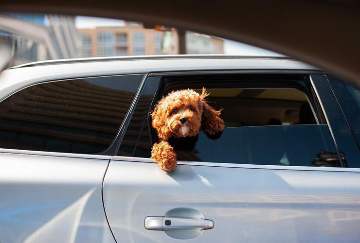 Planning To Buy A New Car? Here Are Some Useful Tips