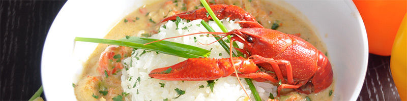 Best Casual Restaurants in San Diego