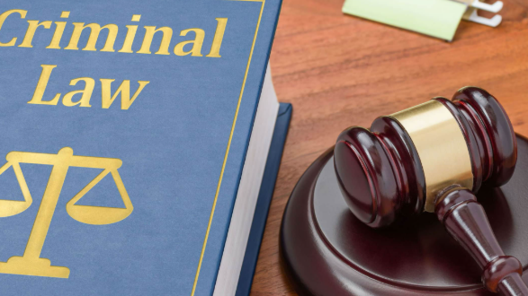 Your Legal Options in a Criminal Matter