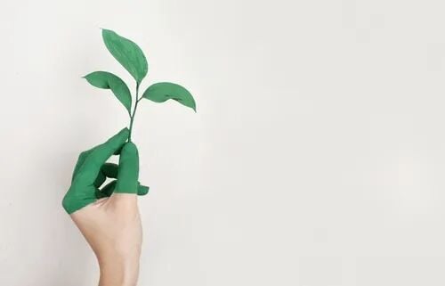 Want to Live an Eco-Friendly Lifestyle? Here's How