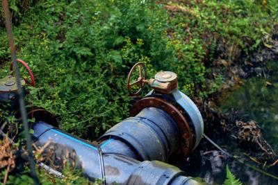 Ferntree Gully Homes: How the Bush Setting Shapes Your Plumbing