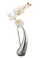 FINE Trends May 2013 Contain Yourself