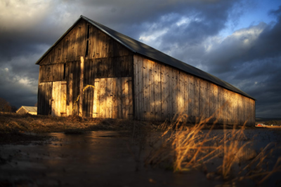 Backyard Sheds: Your Guide to Outdoor Storage