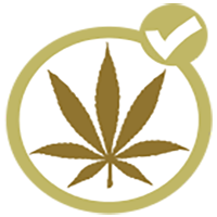 Legalized Cannabis Provides Big Money, Big Relief to the United States