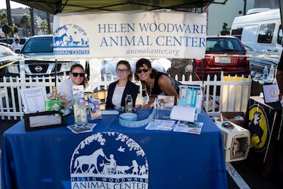 Hot Diggity Dog Sponsors and Vendors