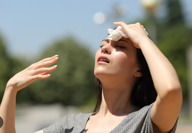 Five Elegant Ways to Keep Your House Cool This Summer