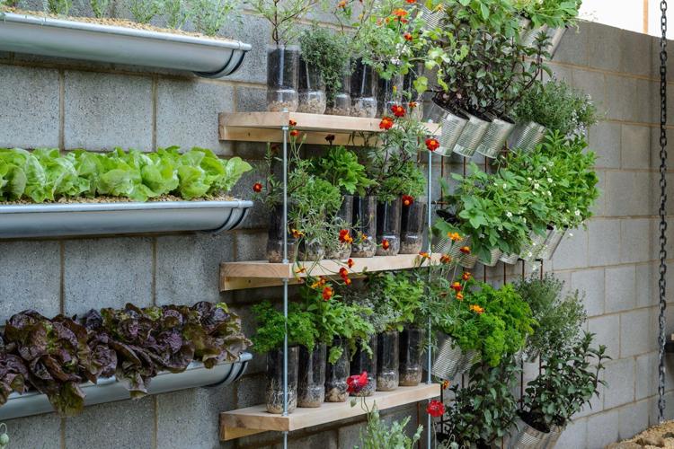 Cheap Ways to Liven Up Your Garden