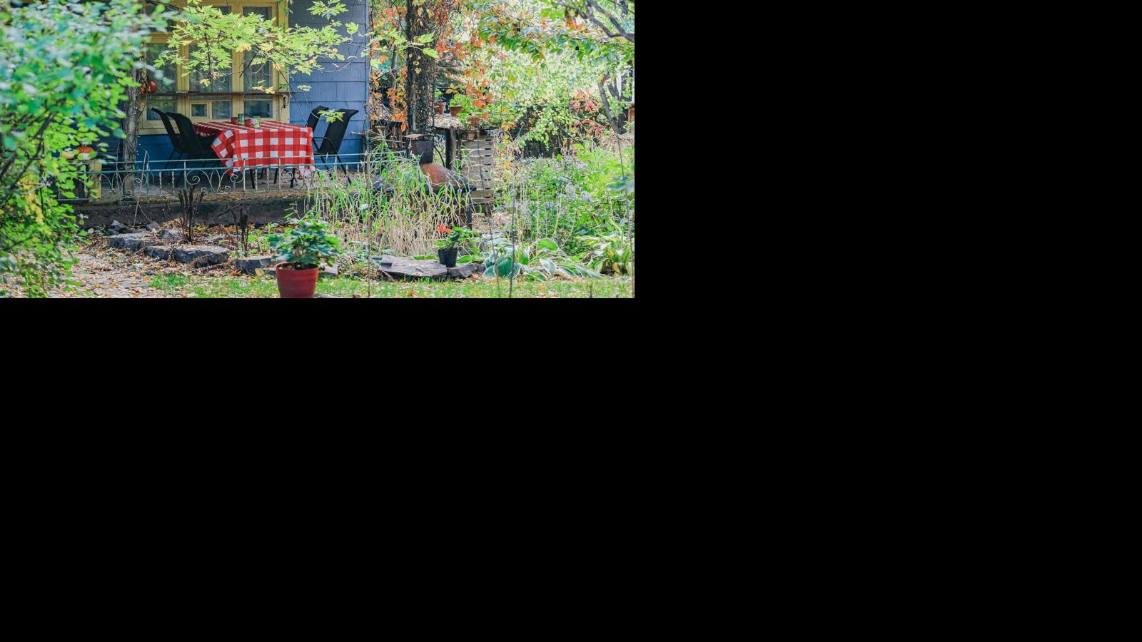 When a Garden Feels Alive: How Birds Elevate Outdoor Living