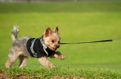 The Latest San Diego Charity Events