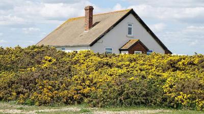 Professional Chimney Cleaning: Saving You Time, Money, and Hassle in the Long Run