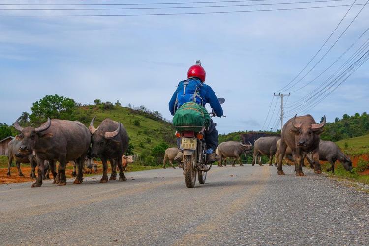 Things to do in Vietnam