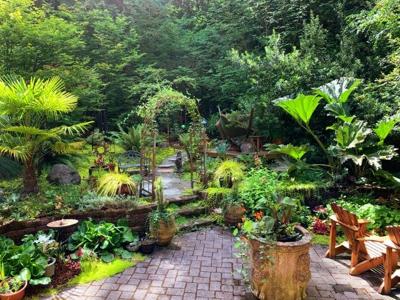 Building a Modern Garden : 7 Ways to Make Your Outdoors a Contemporary Area