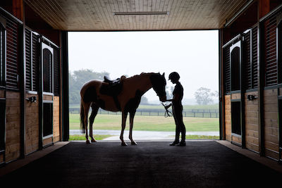 Equestrian Epoch