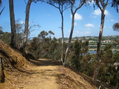 Top North Coast Hikes