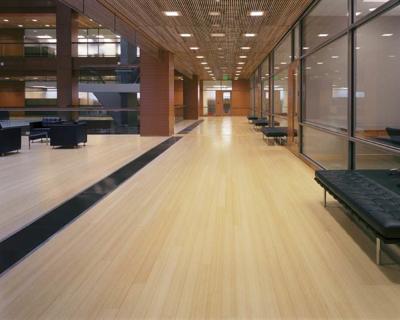 San Diego Goes Green on  Interior Design