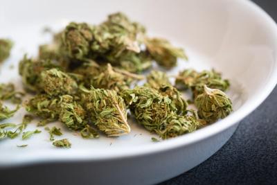 Health Benefits of THC Chocolate Edibles: The Sweet Side of Wellness