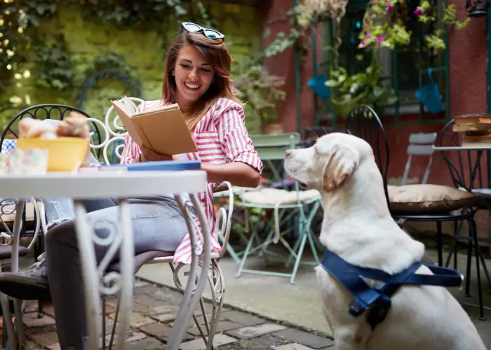 Service Animal Registration and ADA Rules Explained