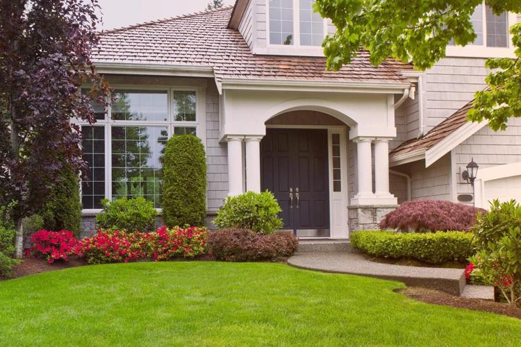 Ways to Improve Garden and Increase Property Value