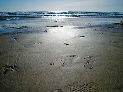 The Surfrider Foundation is on a mission to keep beaches clean