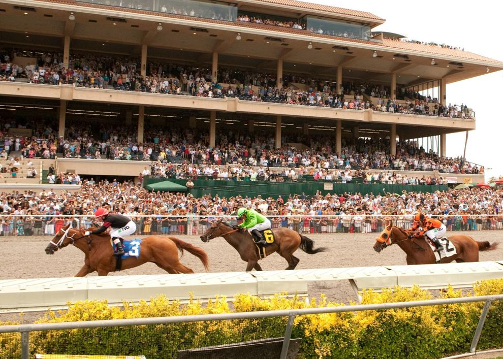 Del Mar Thoroughbred Club Extends its Racing Season Featured