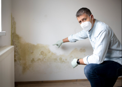 Mold Inspection Companies in Dallas Providing Safe and Thorough Indoor Assessments
