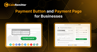 Comparing CoinRemitter's Payment Button and Payment Page for Businesses