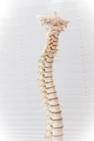 Spinal Cord Injuries: A Guide to Seeking Compensation and Ensuring Proper Care