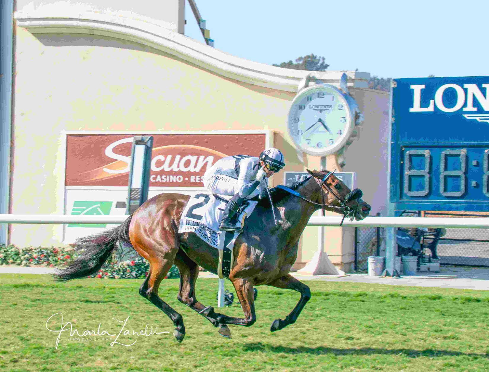 Family_of_Horse_Racing