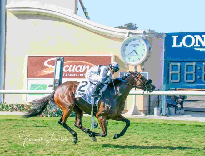 Family_of_Horse_Racing