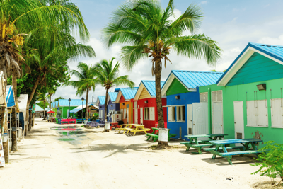How to Match Paint Colors with Miami’s Tropical Vibes