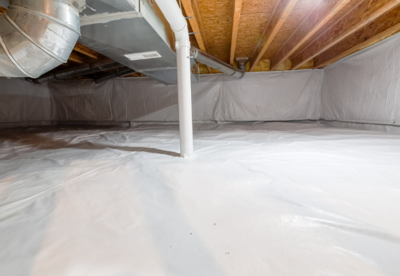 Crawl Space Mold: What Every Homeowner Needs To Know