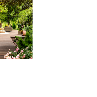 From Backyards to Living Destinations: The Future of Outdoor Design | Featured