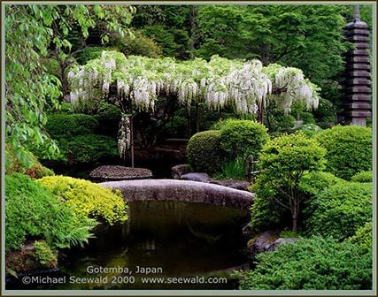 Interview with Photographer Michael Seewald